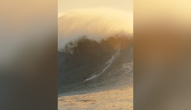 Photo: Laura Crane // Instagram