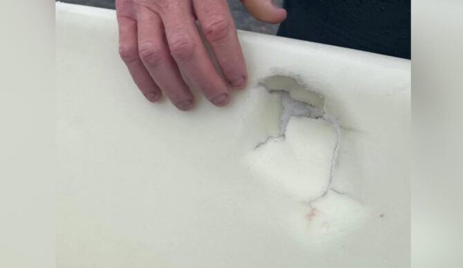 Photo: The West Marin Feed // Instagram