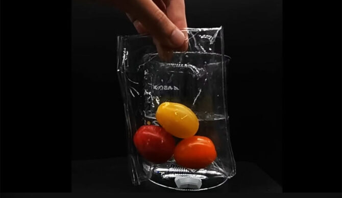 Biodegradable plastic bag with tomatoes in it