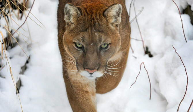 Photo: Robert Sachowski // Unsplash