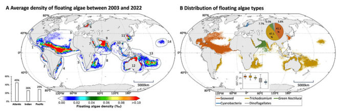 chart showing global seaweed amounts