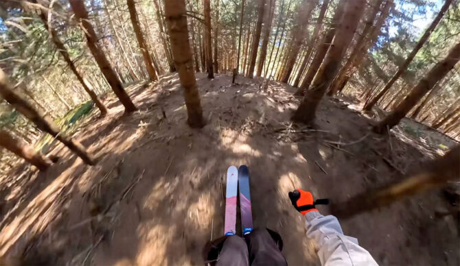David Meier skiing through trees on dirt