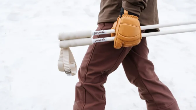 P1 magnetic ski poles 