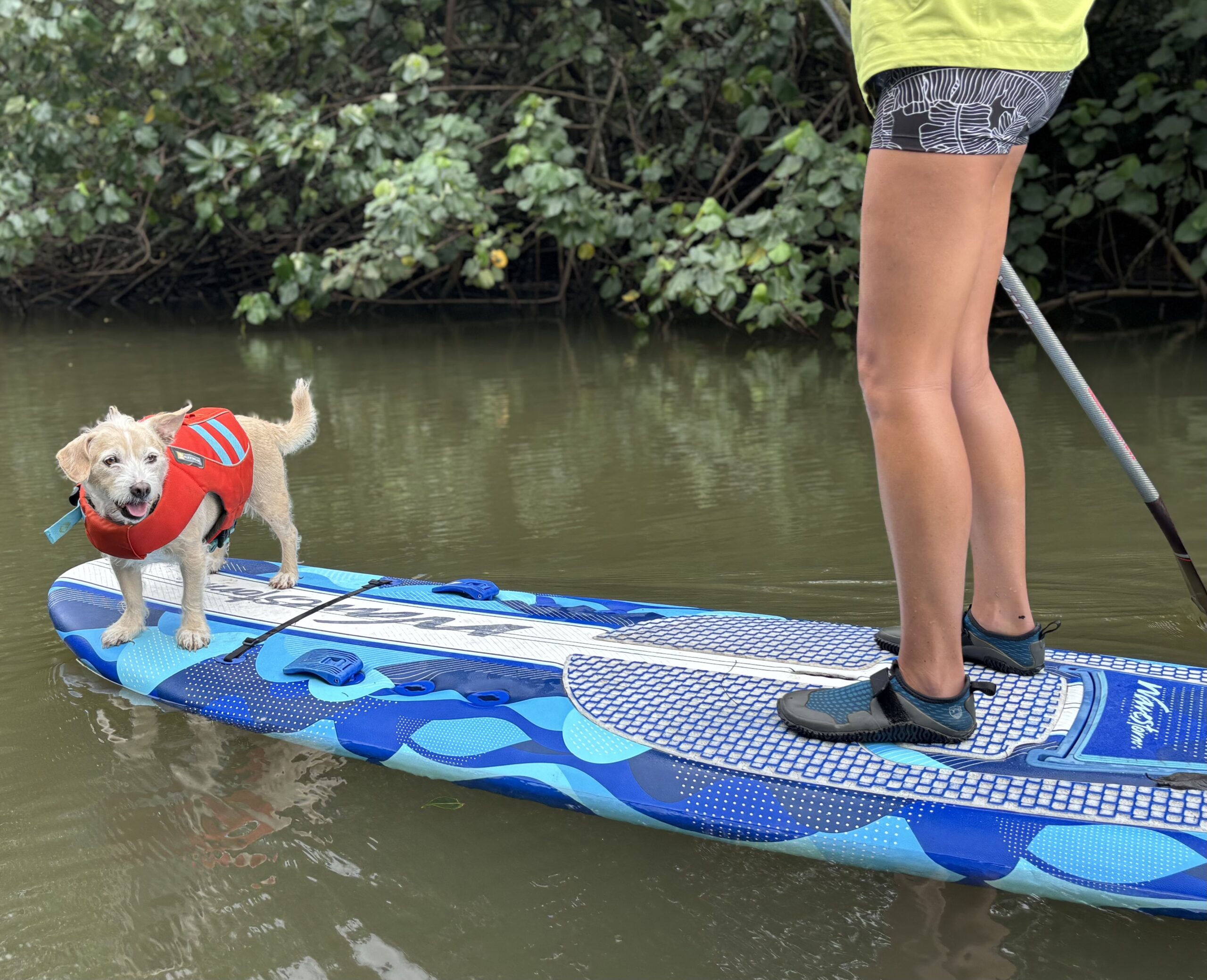 a woman paddling with a dog 