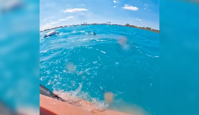 Photo: Adam Baber // Instagram