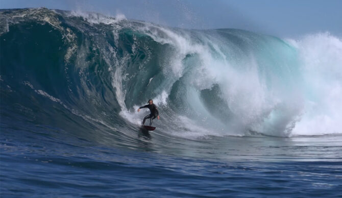 Kipp Caddy tangles with a Tasmanian devil. Photo: Tim Bonython // YouTube