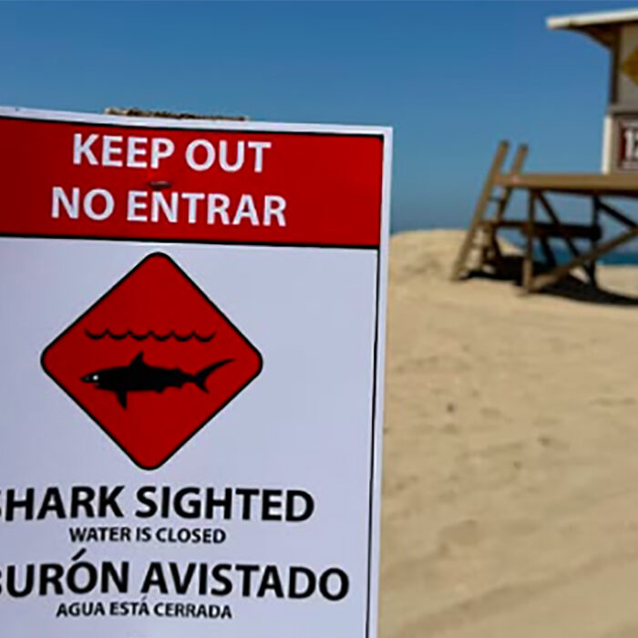 Shark's 'Aggressive Behavior' Shuts Down 2-Mile Stretch of Huntington Beach