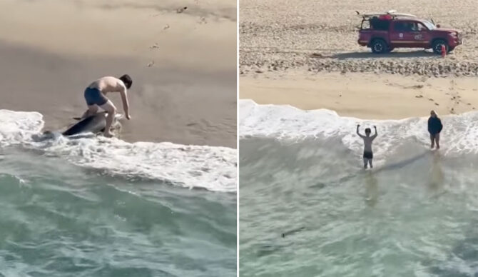 Hermosa Beach fisherman catching great white shark