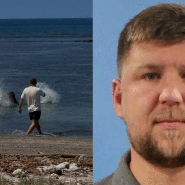 man throwing rock at Monk seal