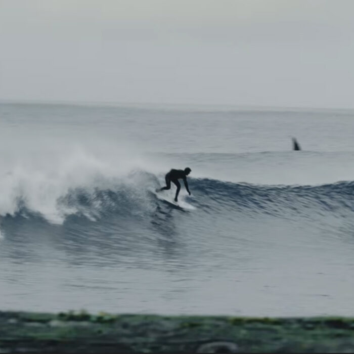 A new challenger has appeared. Photo: Fielder Films // YouTube