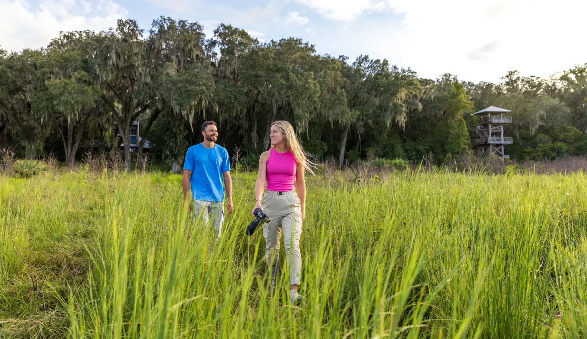 Micanopy - Paynes Prairie Preserve State Park - Couple Walking in Tall Prarie Grass - 2025