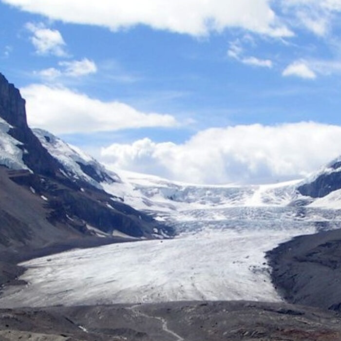 The incident took place in the Athabasca Glacier. Photo: Ben W Bell // Wikimedia Commons