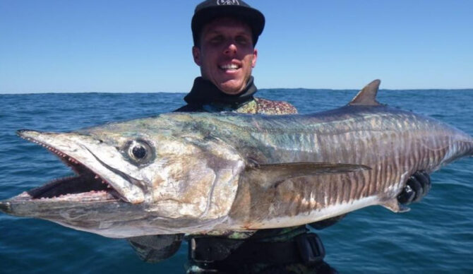 Steven Mattaboni was killed by a shark near an island off the coast of Perth. Photo: Steven Mattaboni // Instagram