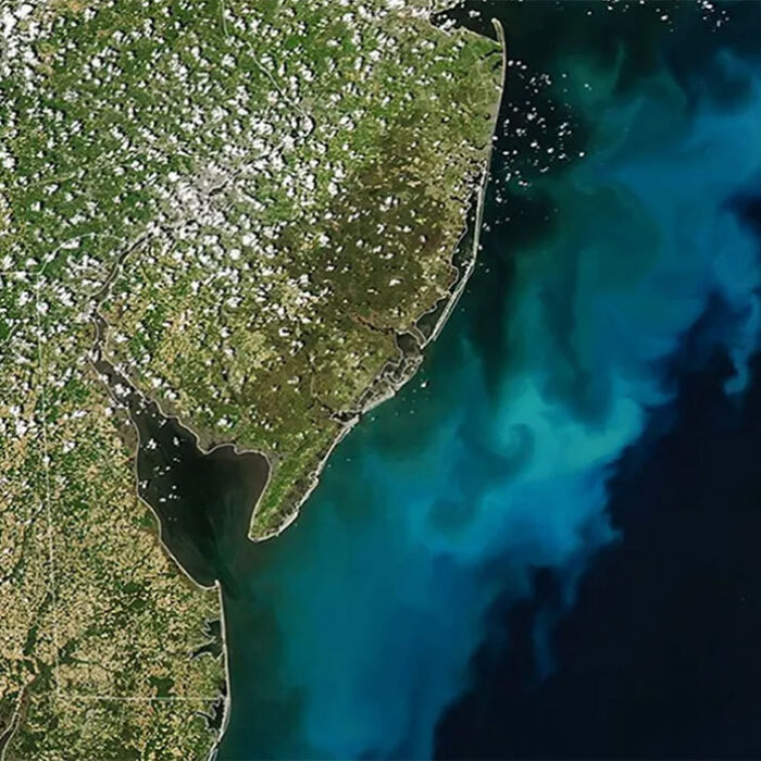 Phytoplankton bloom of US Eastern seaboard