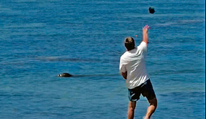 Igor Lytvynchuk throwing a rock at a seal