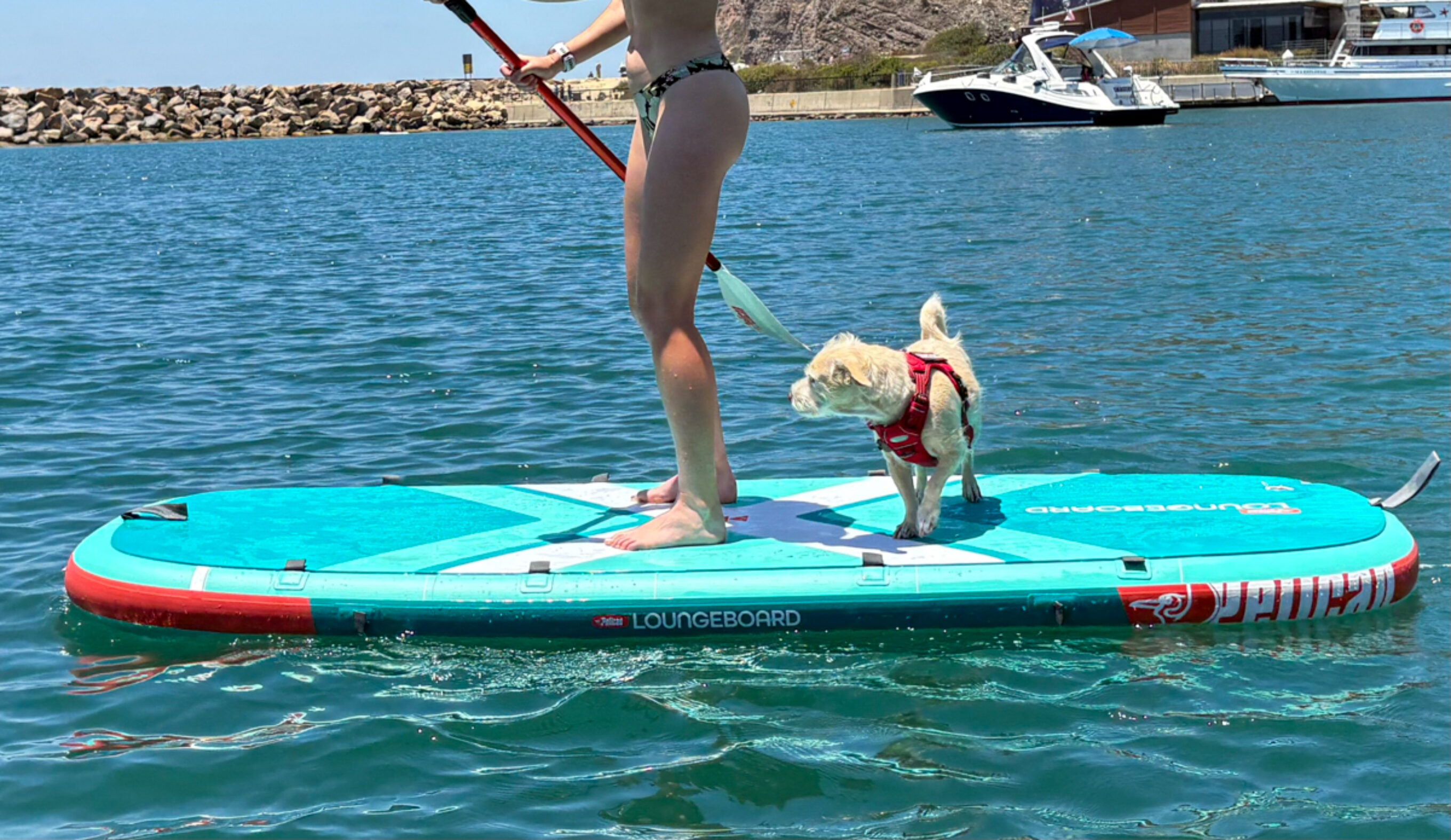 paddling the pelican loungeboard