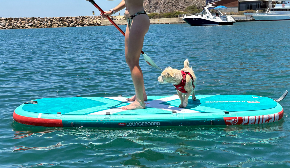 paddling the pelican loungeboard