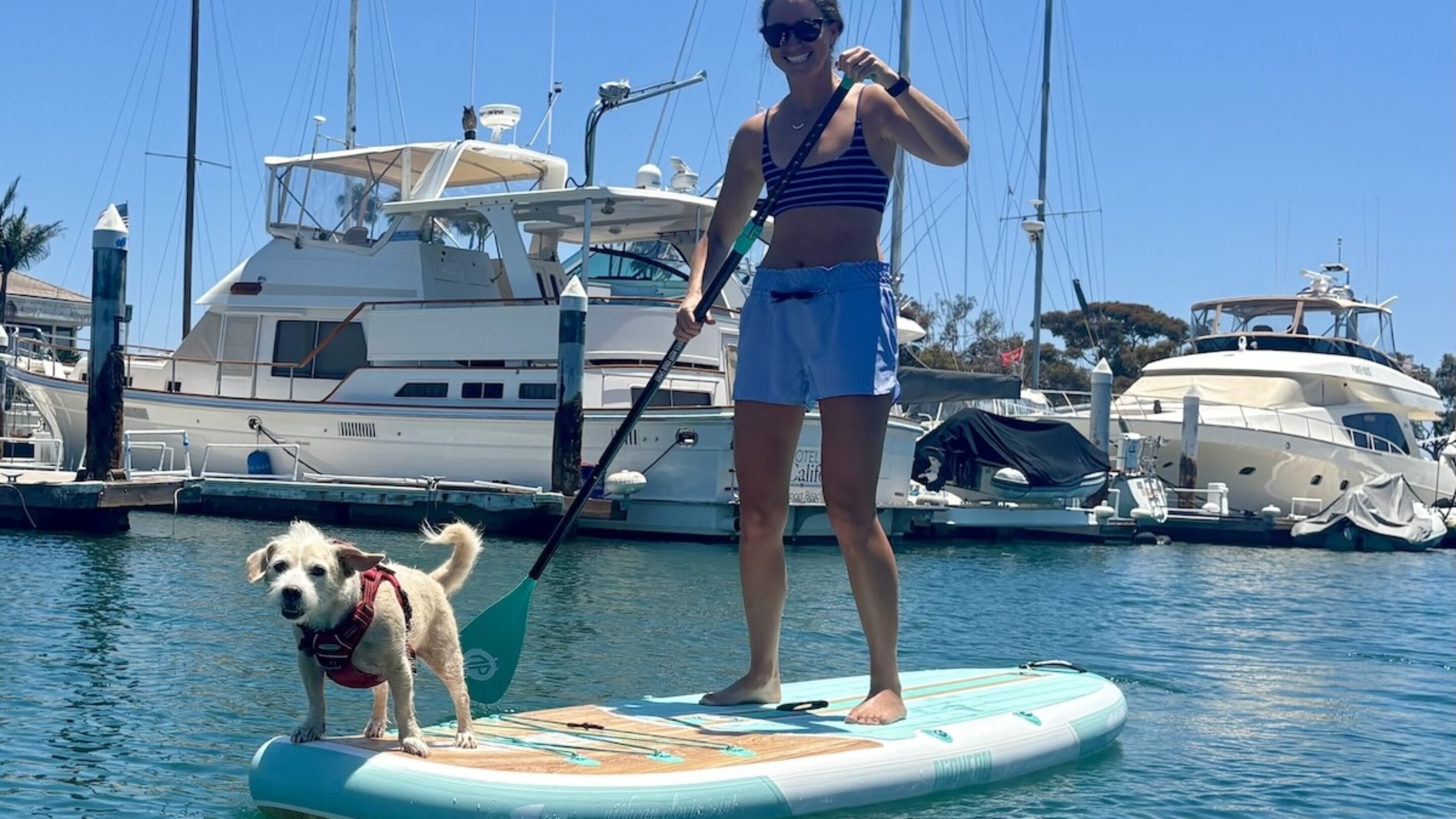 a woman and a dog on a paddle board