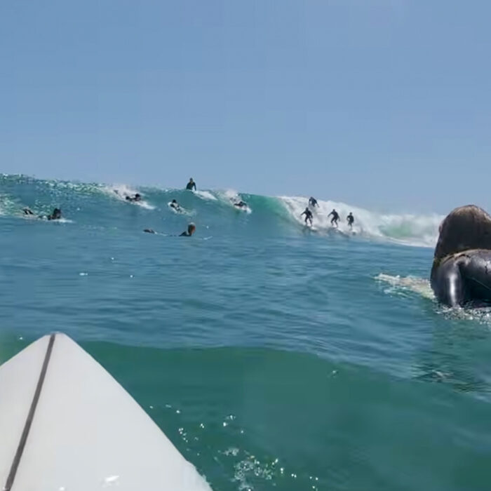 If you're not getting dropped in on, its not Malibu. Photo: Meek Surf // YouTube