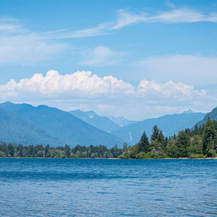 The remains were found in Olympic national park over two decades ago. Photo: Ser Amantio di Nicolao // Wikimedia Commons