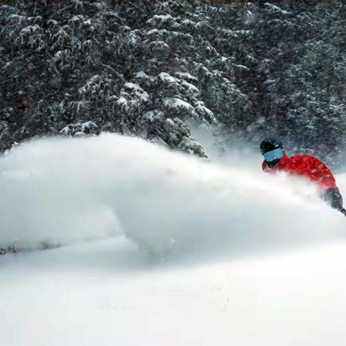 Snowbird Drops Edit That Puts the 'Worst Season Ever' Narrative Into Perspective