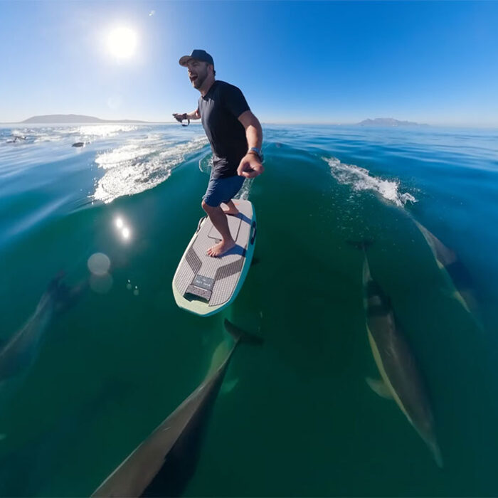 Dolphins surfing alongside e-foiler