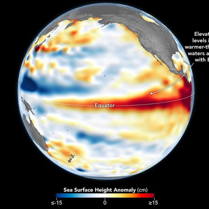 El Niño sea level heights