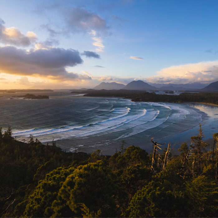 Tsunami study of Tofino, BC