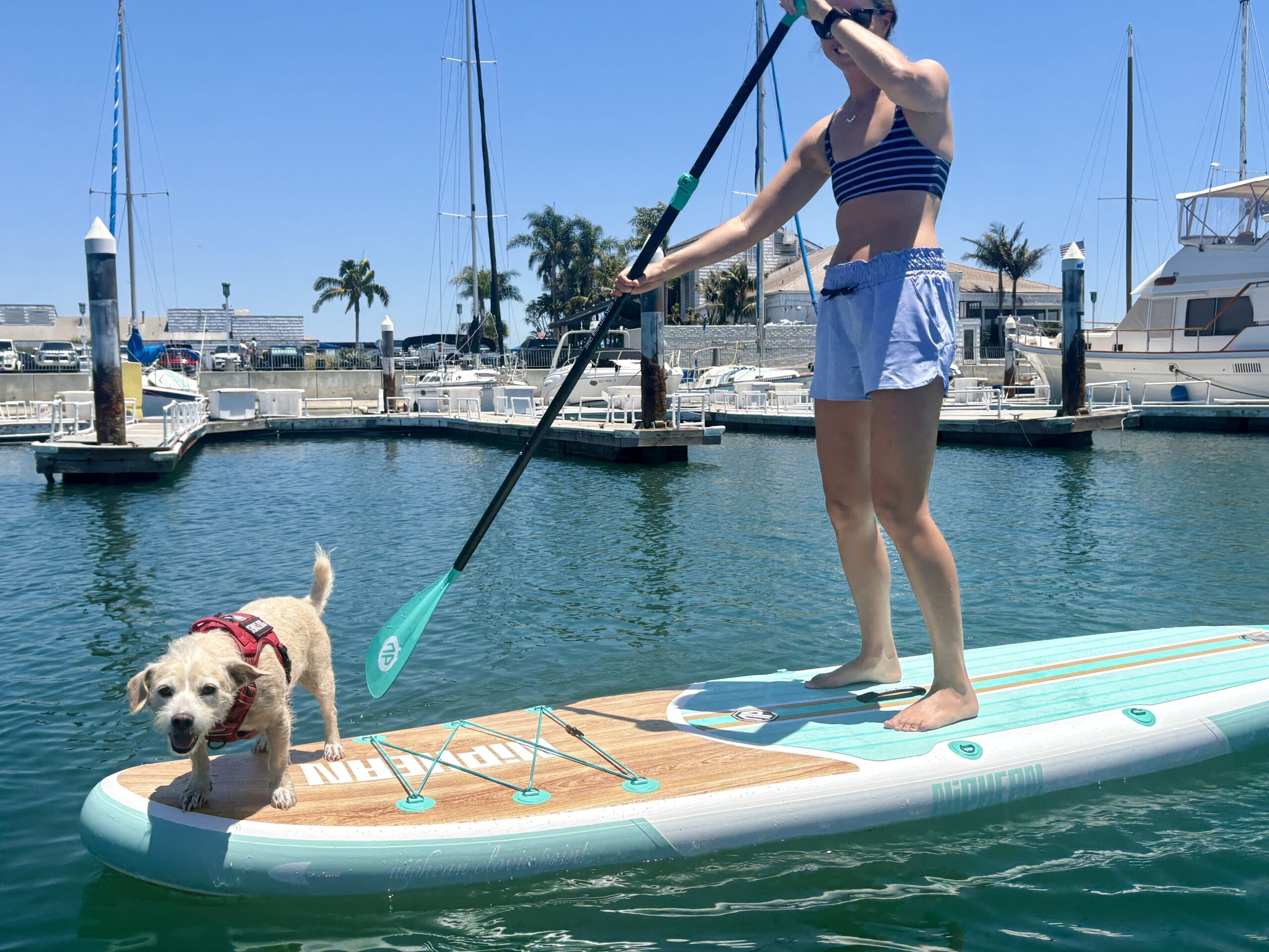 a woman and a dog stand up paddling