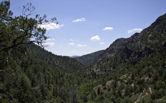 The man's campsite was found in the Tonto National Forest (pictured). Photo: Wikimedia Commons