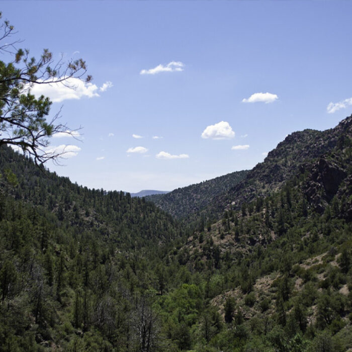 The man's campsite was found in the Tonto National Forest (pictured). Photo: Wikimedia Commons