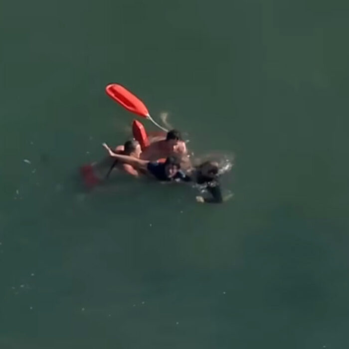 Los Angeles County Lifeguards with felon in ocean