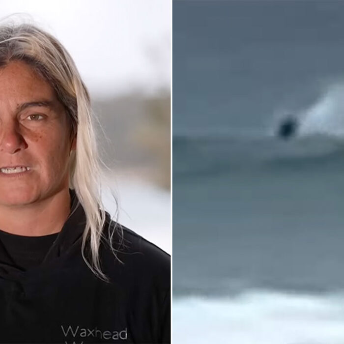 shark attack filmed off New South Wales