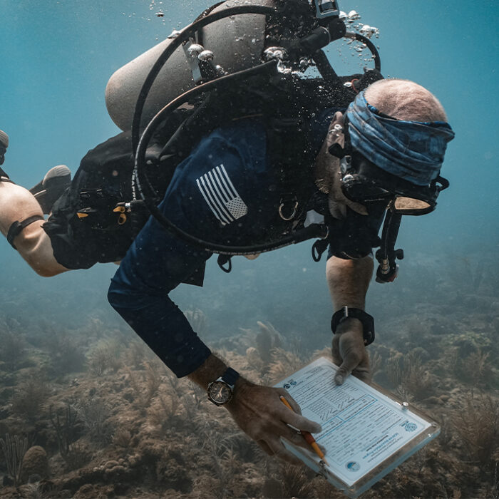 Armed with training on how to spott ailing coral the Force Blue divers combed the 100 Yards of Hope reef site. Photo: Force Blue // Luminox