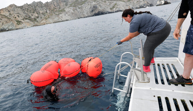 Tagged litter being hauled aboard. Photo: Hyundai