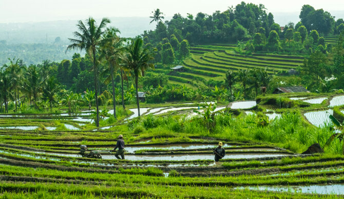 Where Has Bali’s Water Gone?