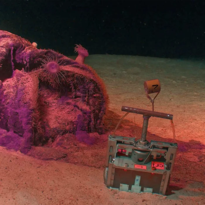 Radioactive waste barrel in Atlantic ocean