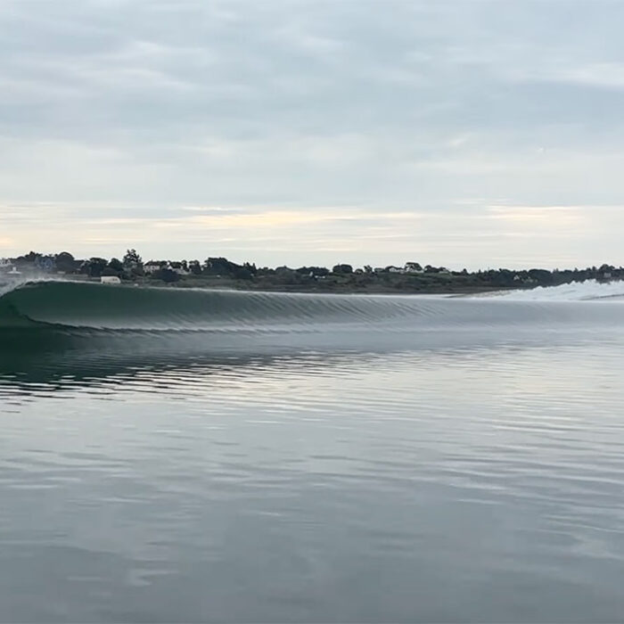 Ben Gravy found a ferry wave