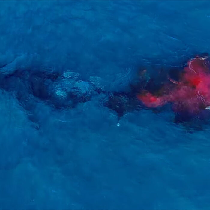 Humpback whale giving birth