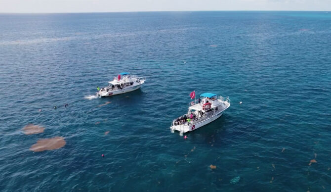 Key Biscayne's reef faces unique stressors due to its proximity to a major urban center. Photo: Force Blue // Luminox