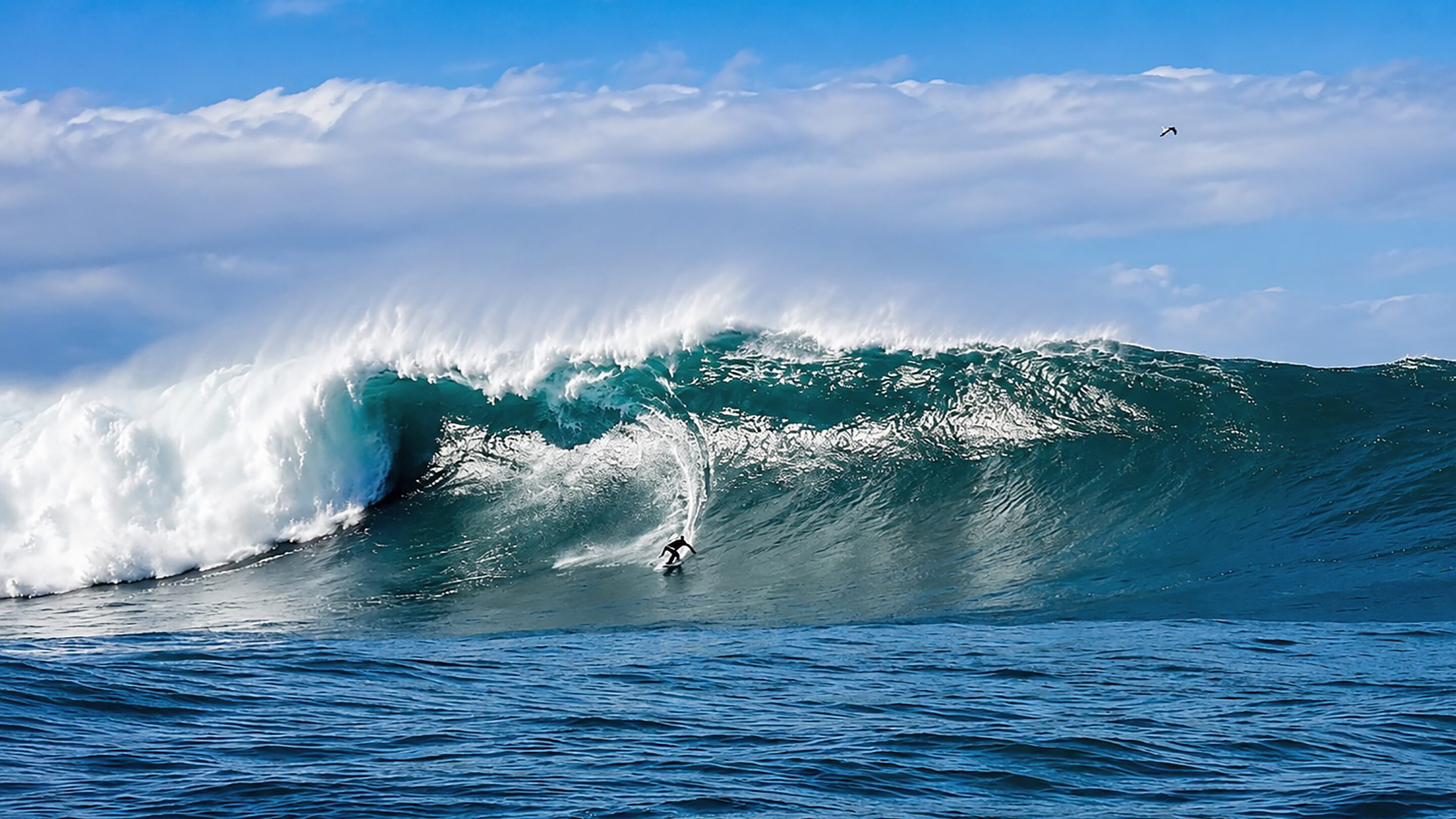 Gary Linden’s Plan to Crown a New Big-Wave World Champion in Brazil