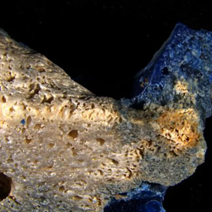 Plastic and coral merged to form plasticoral