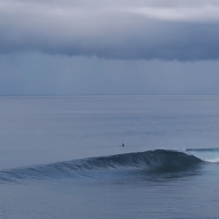 John John Florence watching wave break