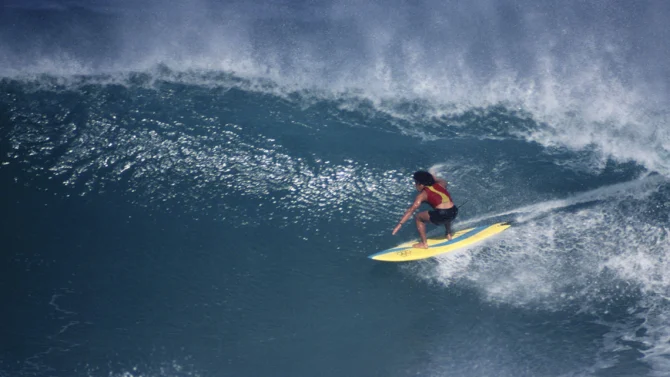 Larry Bertlemann surfing