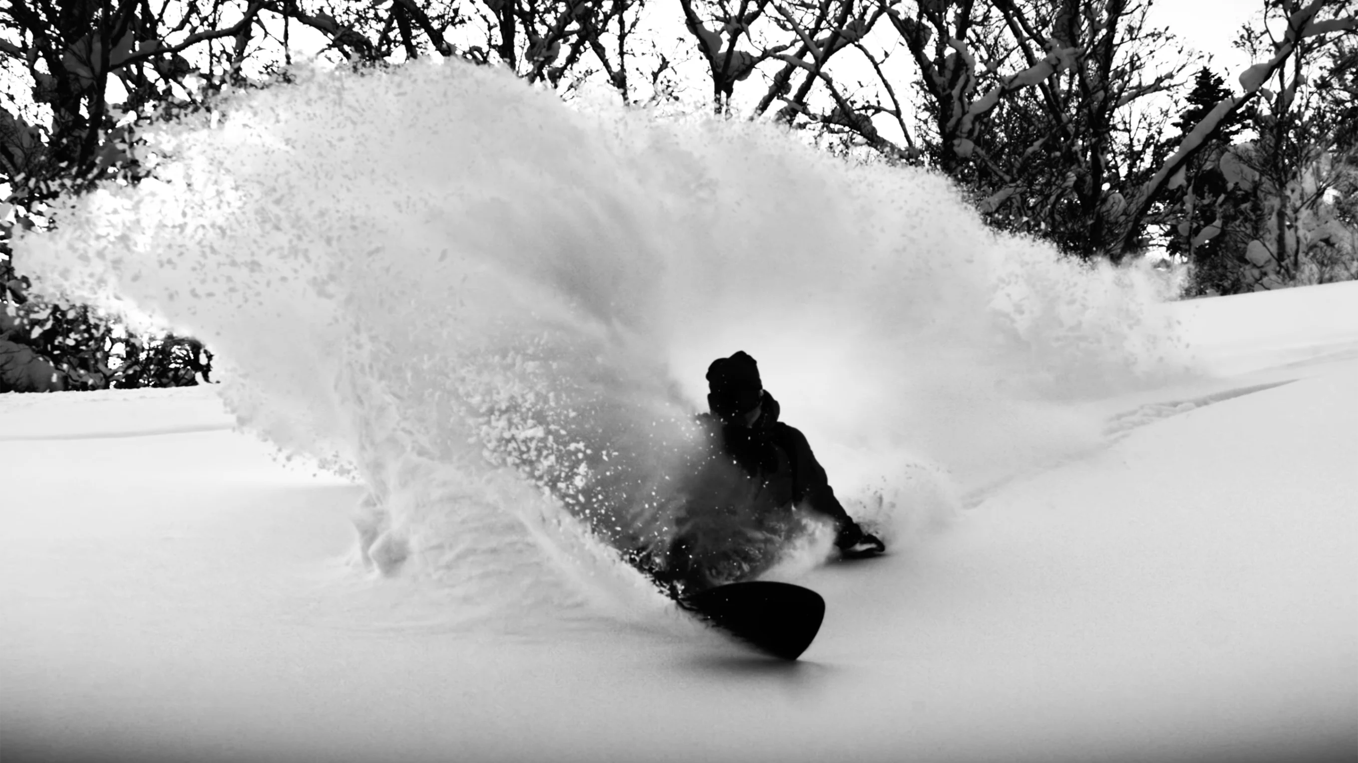 Japan has a special place in the hearts of the people at Korua. That's why they returned to the Land of the Rising Sun for "Clouds: States of Submersion."