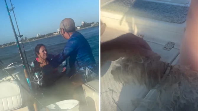 Surfer rescues boaters and their dog