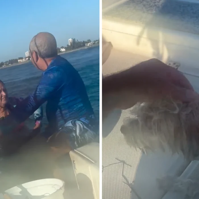 Surfer rescues boaters and their dog